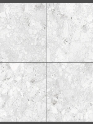 Glancētas flīzes TERRAZZO LIGHT GREY, 60x60 cm, LE