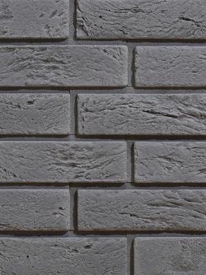 Klinkera flīzes iekštelpām un fasādei BOSTON 1, 22.3 x 7.4 cm, ST