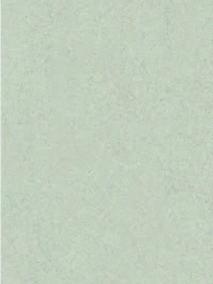 Matētas flīzes LIMESTONE GREY, 60x120cm, PR