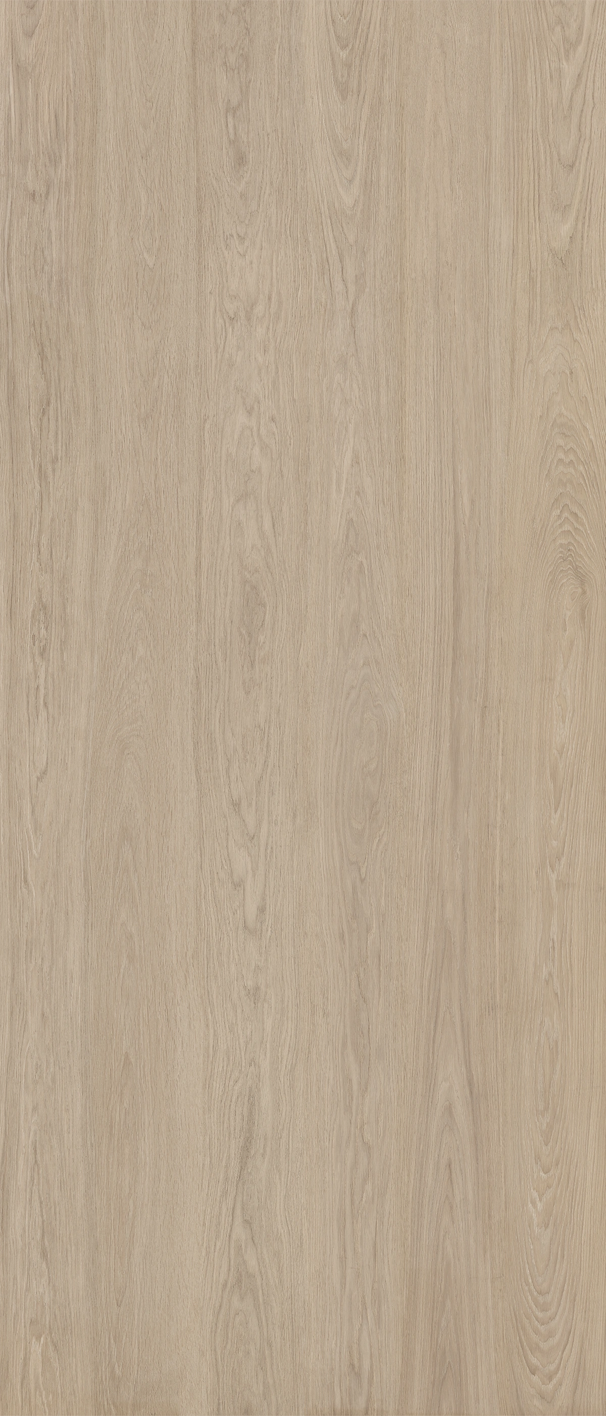 Matētas flīzes KINFOLK BEECH KINWOOD, 120x280 cm, APE