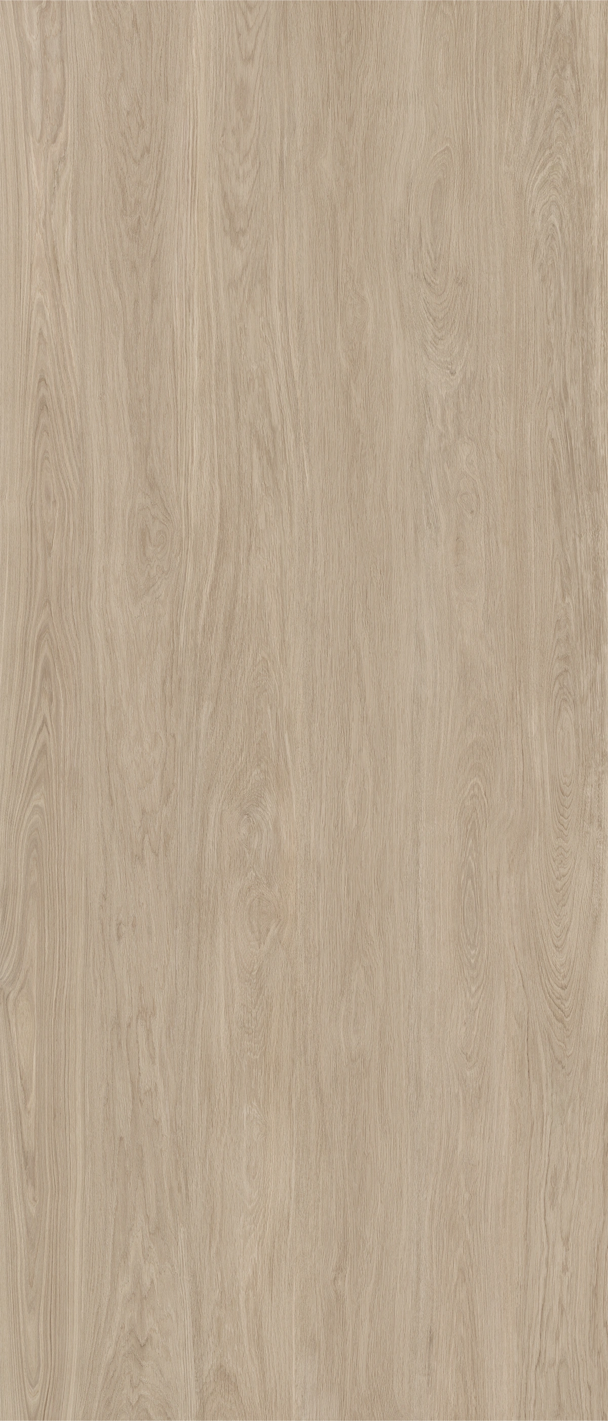 Matētas flīzes KINFOLK BEECH KINWOOD, 120x280 cm, APE