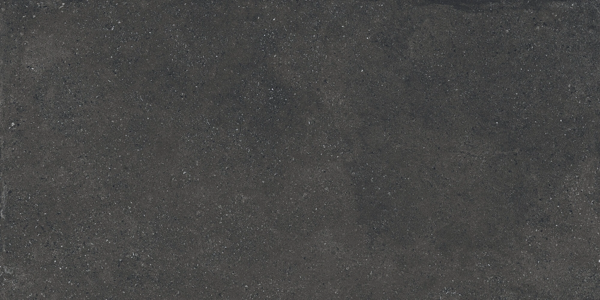 Matte tiles CASALE GRAFITE RECT, 60x120 cm, APE