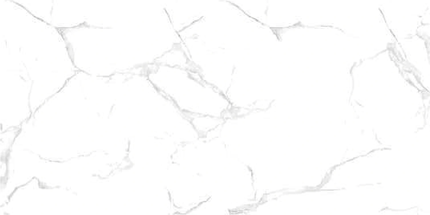 Глянцевая плитка WHITE MARBLE, 60x120 cm, DE