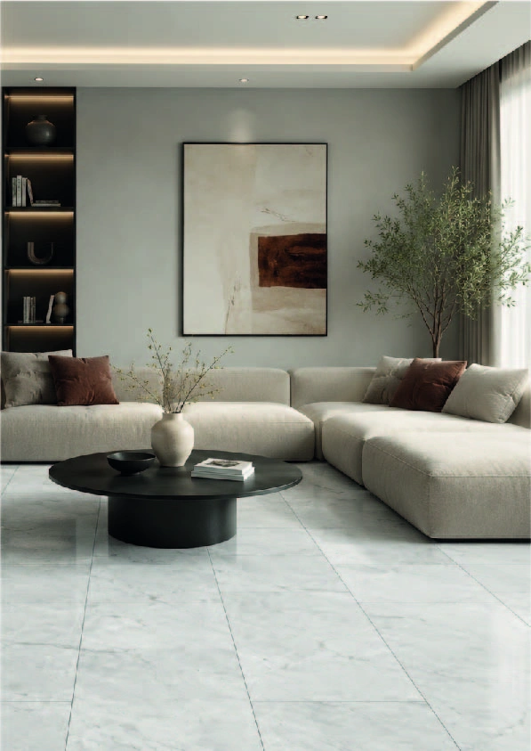 Matētas flīzes ZORRANI GREY CARVING, 60x120cm, PR