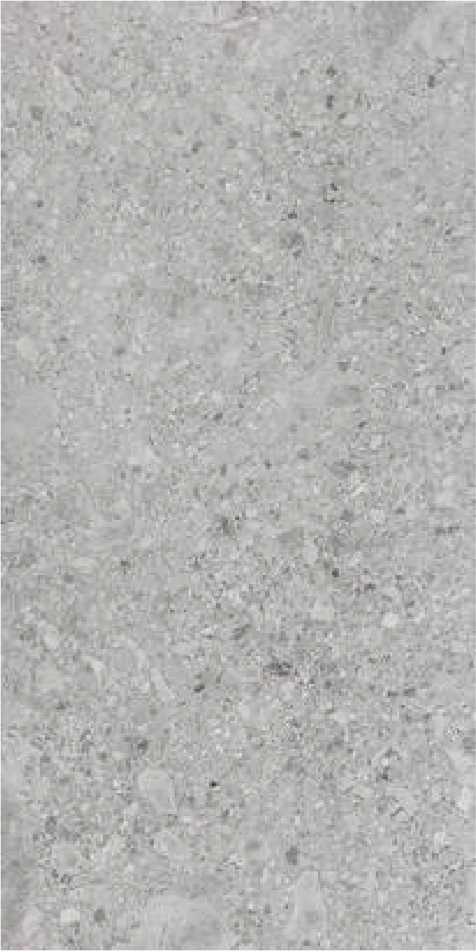 Matētas flīzes CEPPO GREY SHAPE, 60x120cm, DE