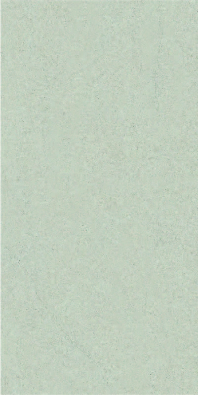 Matētas flīzes LIMESTONE GREY, 60x120cm, PR